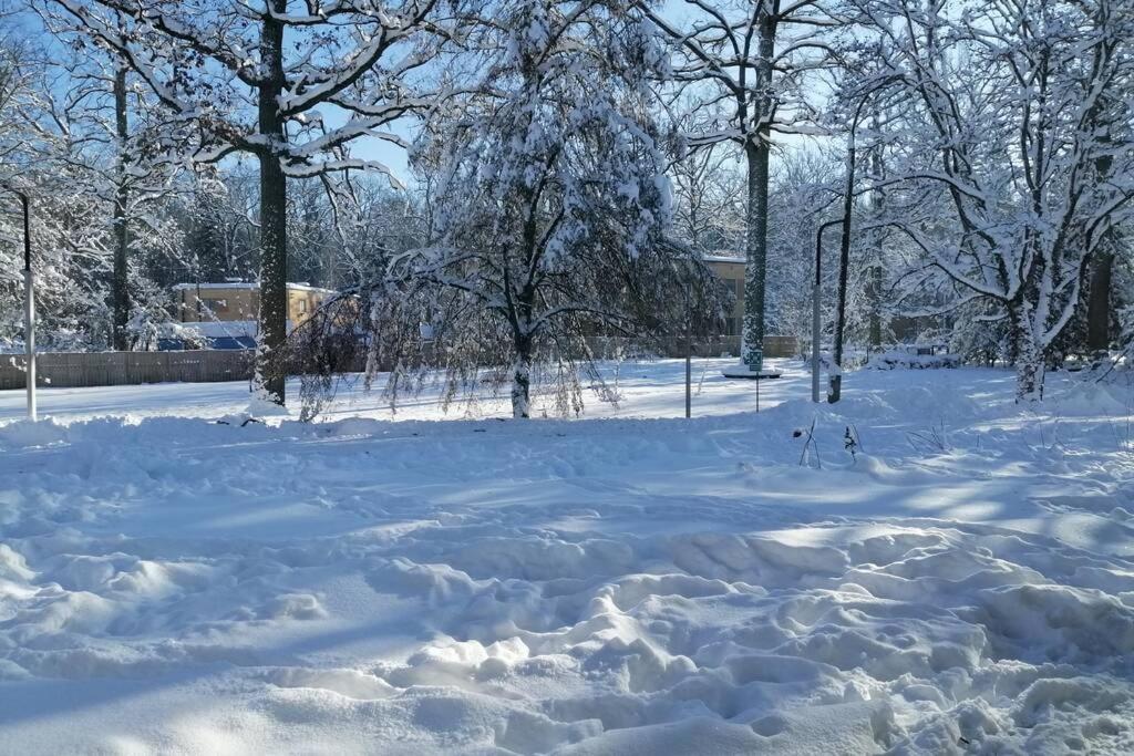 Nowoczesny Apartament W Puszczy Bialowieskiej Hajnówka Eksteriør bilde